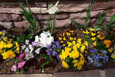 RodterEck_ostern_2031